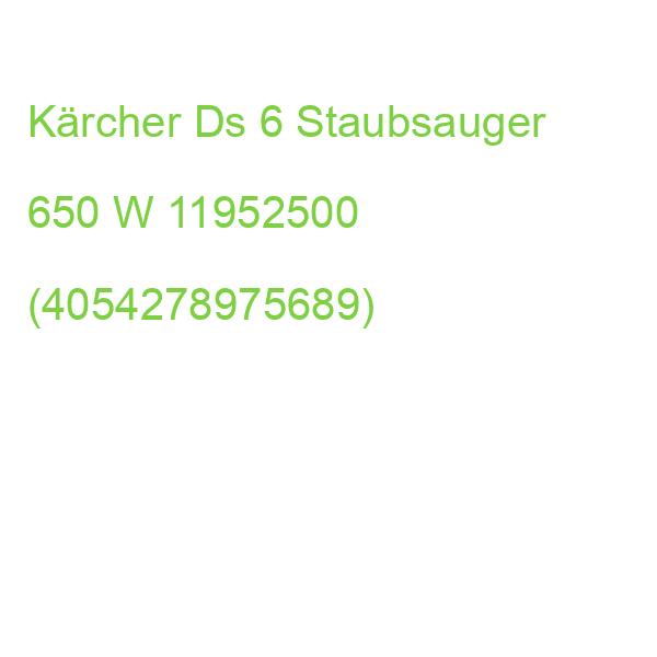 Kärcher Ds 6 Staubsauger 650 W 11952500 (4054278975689)
