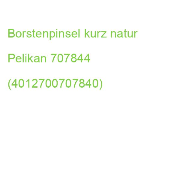 Borstenpinsel Sorte 613F reine Schweinsborsten Größe 20 PELIKAN 100435961 (4012700707840)