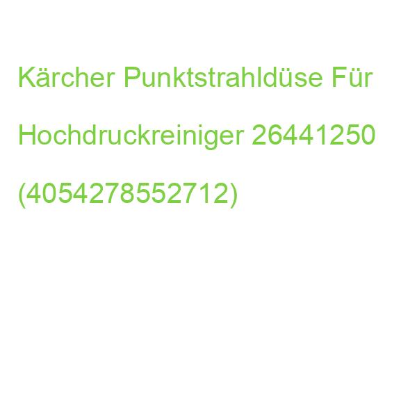 Kärcher Punktstrahldüse Für Hochdruckreiniger 26441250 (4054278552712)