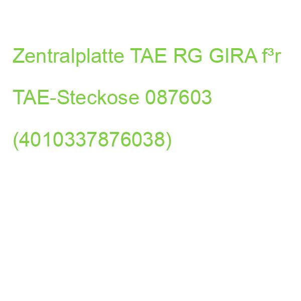Zentralplatte TAE RG GIRA f³r TAE-Steckose 087603 (4010337876038)