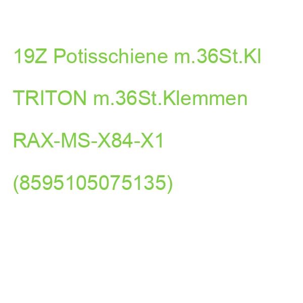 19Z Potisschiene m.36St.Kl TRITON m.36St.Klemmen RAX-MS-X84-X1 (8595105075135)