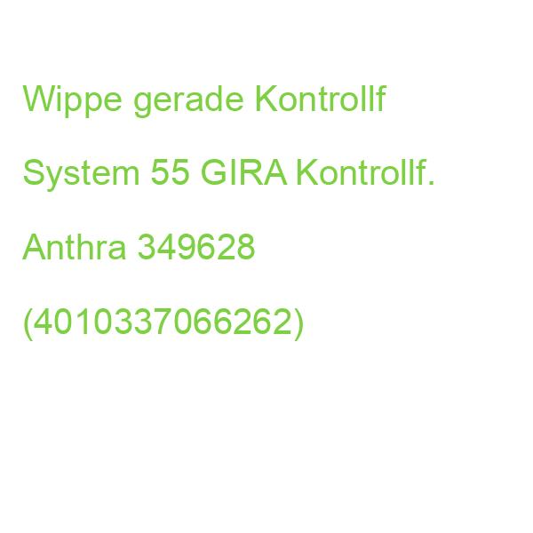 Wippe gerade Kontrollf System 55 GIRA Kontrollf. Anthra 349628 (4010337066262)