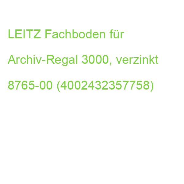 LEITZ Fachboden für Archiv-Regal 3000, verzinkt 8765-00 (4002432357758)