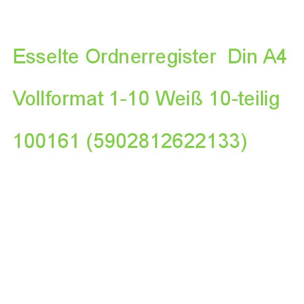 Esselte Ordnerregister Din A4 Vollformat 1-10 Farbig 10-teilig, 1 Satz 100161 (5902812622133)