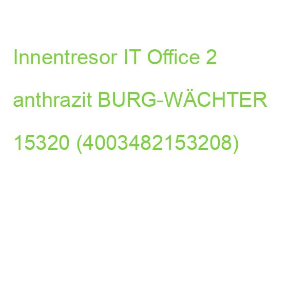 Innentresor IT Office 2 anthrazit BURG-WÄCHTER 15320 (4003482153208)