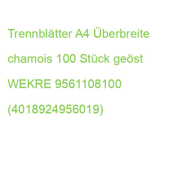 Trennblätter A4 Überbreite chamois 100 Stück geöst WEKRE 9561108100 (4018924956019)