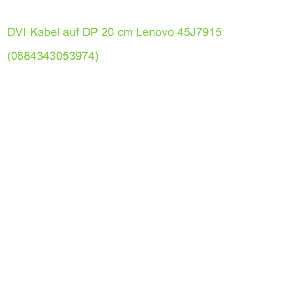 DVI-Kabel auf DP 20 cm Lenovo 45J7915 (0884343053974)