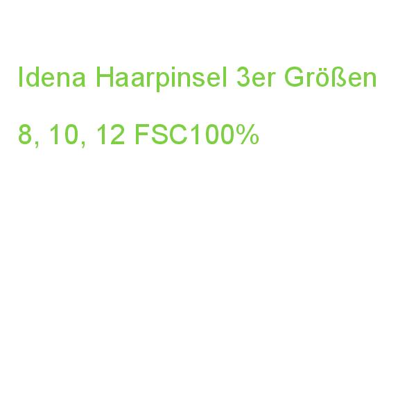 Idena Haarpinsel Größe 8/10/12 3 Stück