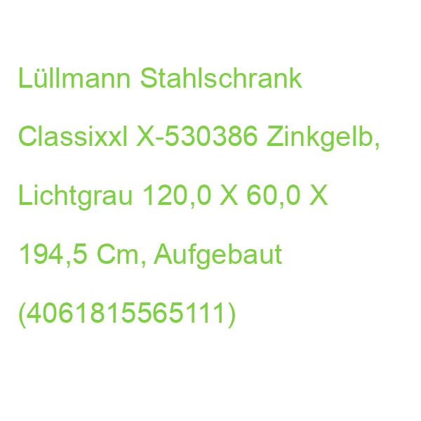 Classix Stahlschrank X-530386 Zinkgelb, Lichtgrau 120,0 X 60,0 X 194,5 Cm, Aufgebaut (4061815565111)