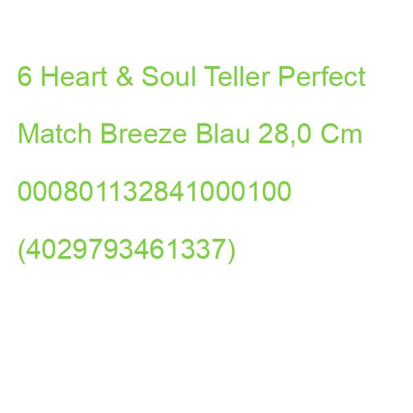 6 Heart & Soul Teller Perfect Match Breeze Blau 28,0 Cm 000801132841000100 (4029793461337)