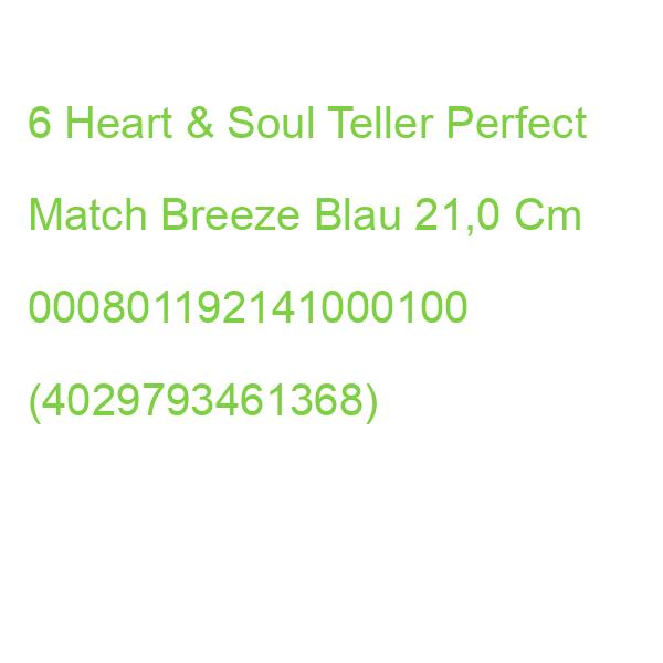 6 Heart & Soul Teller Perfect Match Breeze Blau 21,0 Cm 000801192141000100 (4029793461368)