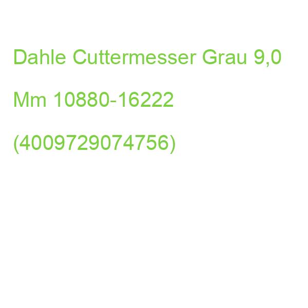 Dahle Cuttermesser Grau 9,0 Mm, 1 St. 10880-16222 (4009729074756)