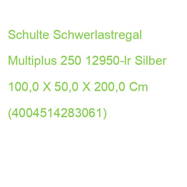 Schulte Schwerlastregal Multiplus 250 12950-lr Silber 100,0 X 50,0 X 200,0 Cm (4004514283061)