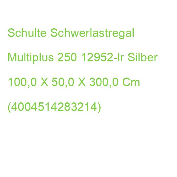 Schulte Schwerlastregal Multiplus 250 12952-lr Silber 100,0 X 50,0 X 300,0 Cm (4004514283214)