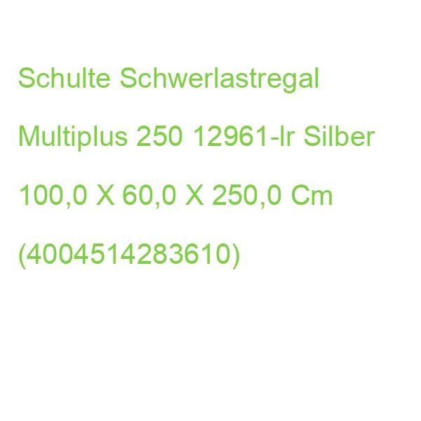 Schulte Schwerlastregal Multiplus 250 12961-lr Silber 100,0 X 60,0 X 250,0 Cm (4004514283610)