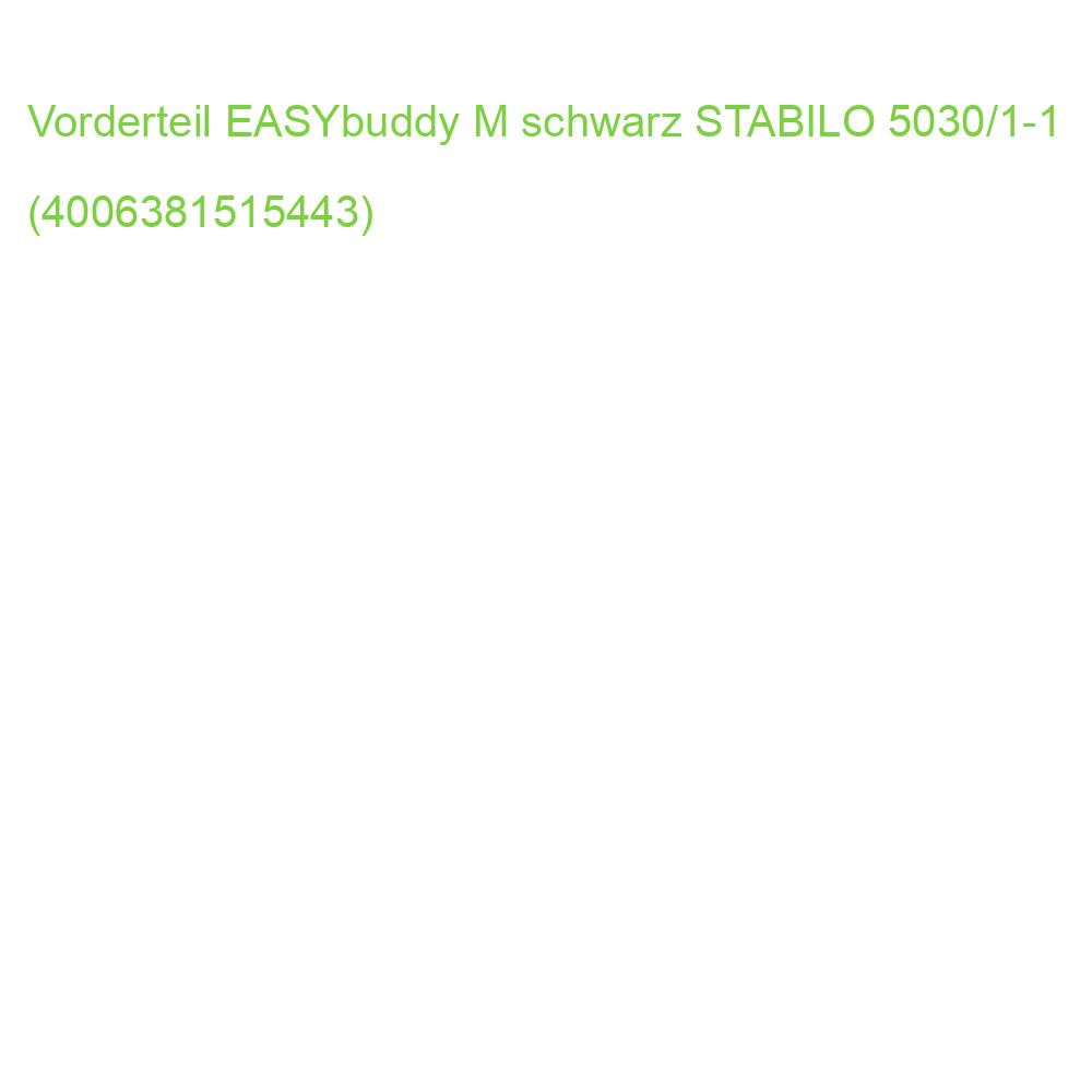 Griffstück für Schulfüller EASYbuddy in schwarz limette mit Standard-Feder M STABILO 5030/1-1 (4006381515443)
