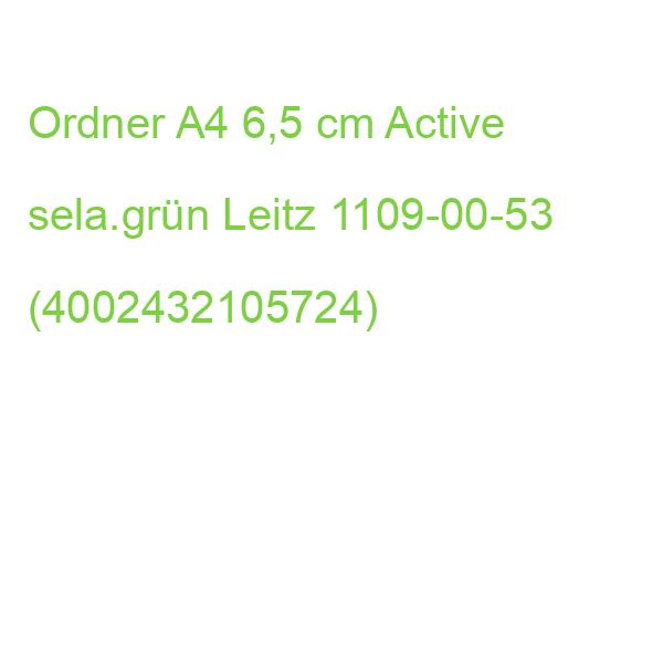 1109 Ordner Active Style A4 60 mm seladon grün Leitz 1109-00-53 (4002432105724)