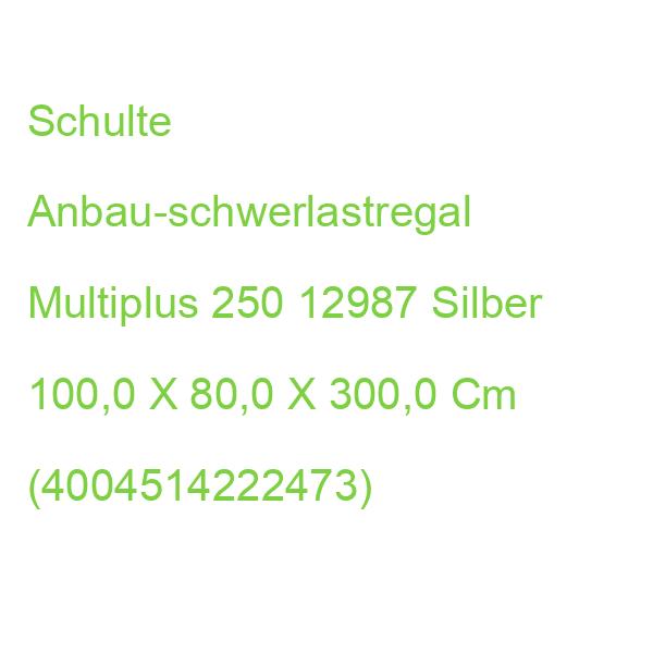 Schulte Anbau-schwerlastregal Multiplus 250 12987 Silber 100,0 X 80,0 X 300,0 Cm (4004514222473)