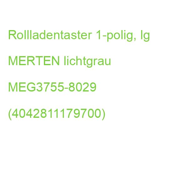 Rollladentaster 1-polig, lg MERTEN lichtgrau MEG3755-8029 (4042811179700)