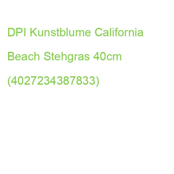 DPI Kunstblume California Beach Stehgras 40cm (4027234387833)
