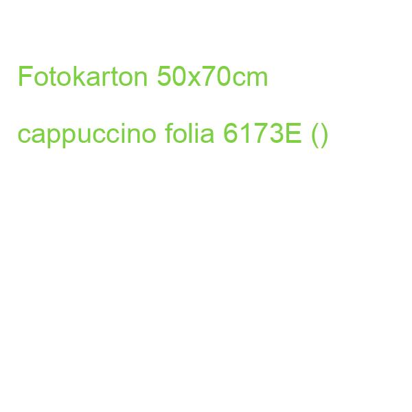 Fotokarton 50x70 cm cappuccino FOLIA 6173E ()