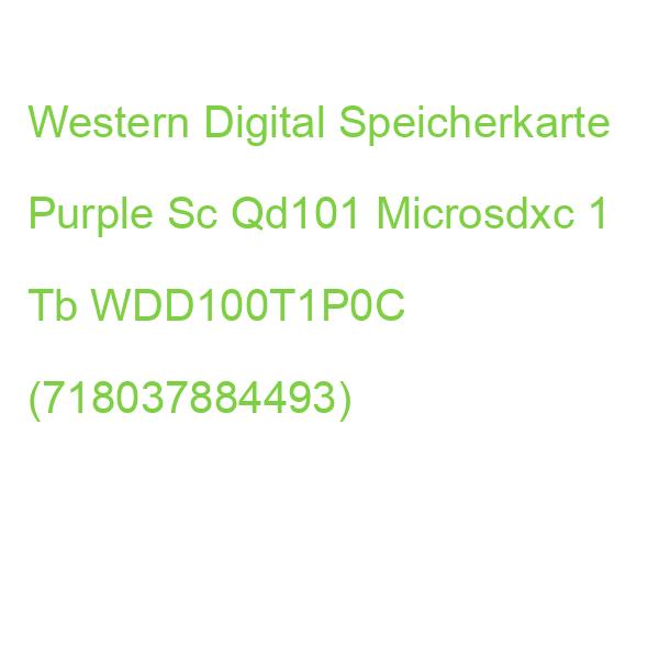 Western Digital Speicherkarte Purple Sc Qd101 Microsdxc 1 Tb WDD100T1P0C (0718037884493)
