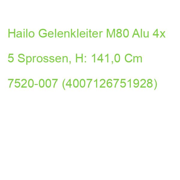 Hailo Gelenkleiter M80 Silber 4x 5 Sprossen, H: 141,0 Cm 7520007 (4007126751928)