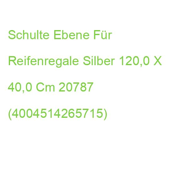 Schulte Ebene Für Reifenregale Silber 120,0 X 40,0 Cm 20787 (4004514265715)