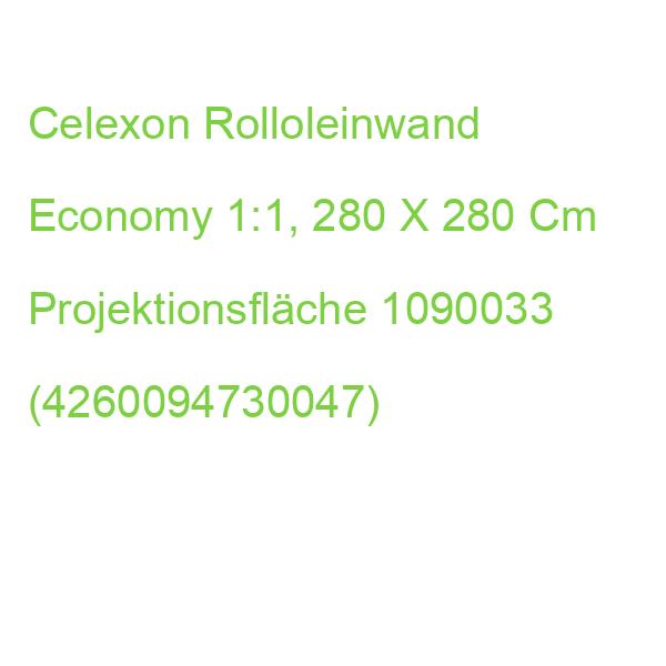 Celexon Rolloleinwand Economy 1:1, 280 X 280 Cm Projektionsfläche 1090033 (4260094730047)