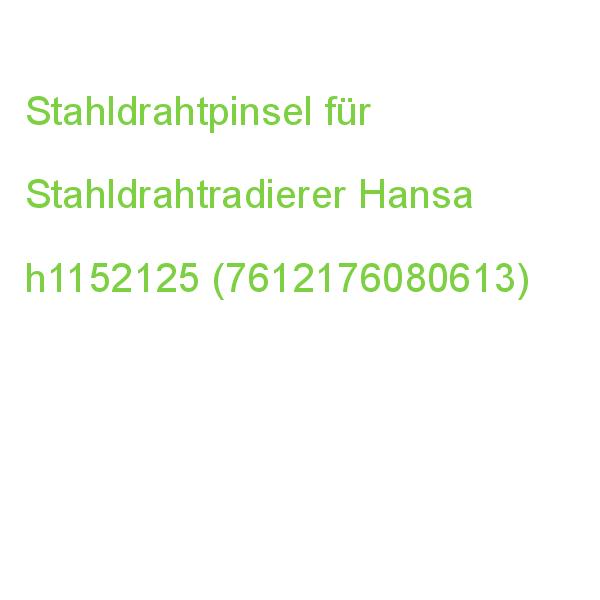 Stahldrahtpinsel für Stahldrahtradierer Hansa h1152125 (7612176080613)