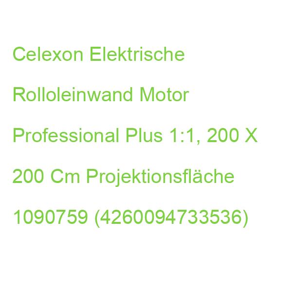 Celexon Elektrische Rolloleinwand Motor Professional Plus 1:1, 200 X 200 Cm Projektionsfläche 1090759 (4260094733536)