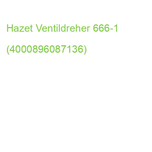 Hazet Ventildreher 666-1 (4000896087136)