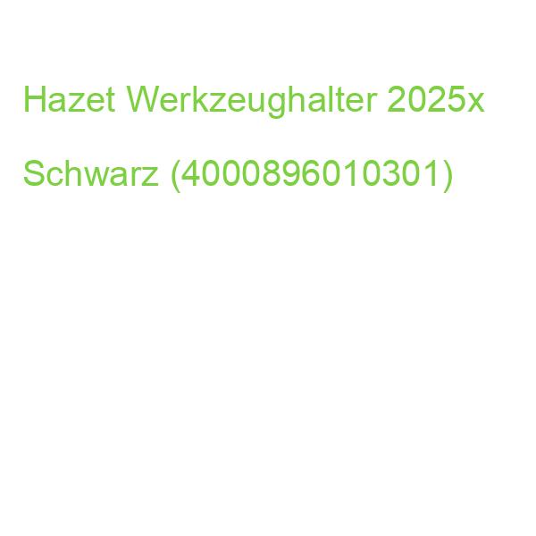 Hazet Werkzeughalter 2025x Schwarz (4000896010301)