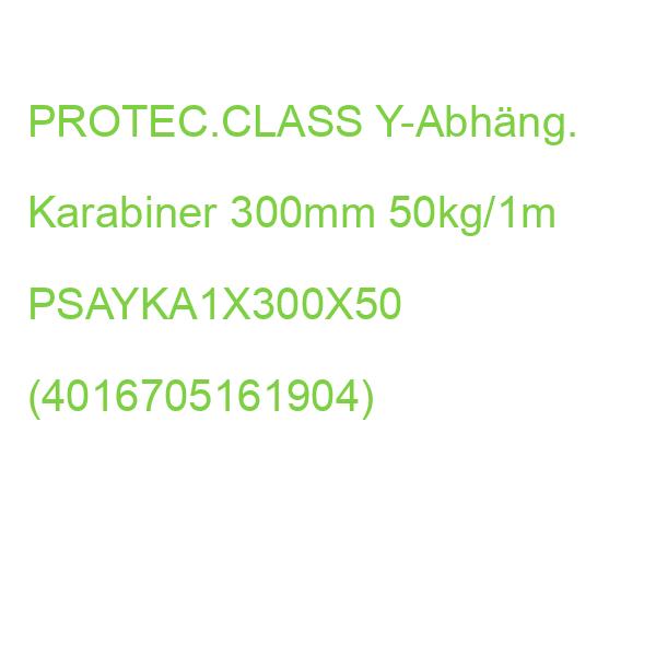 PSAYKA1x300x50 Y-Abh. Krbn 300mm50kg/1m PROTEC.CLASS Y-Abhäng. Karabiner (4016705161904)