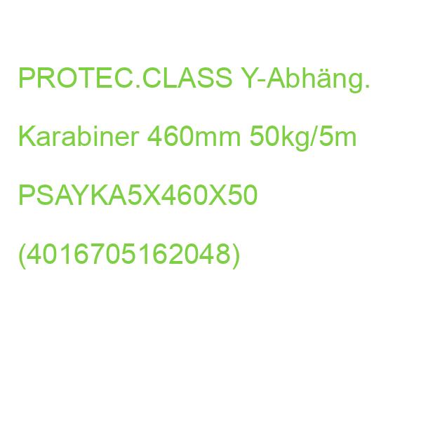 PSAYKA5x460x50 Y-Abh. Krbn 460mm50kg/5m PROTEC.CLASS Y-Abhäng. Karabiner (4016705162048)