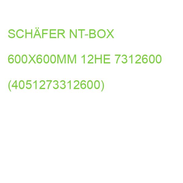19Z Wandverteiler 12HE H600xT60 SCHÄFER NT-BOX 600X600MM B7312600 (4051273312600)