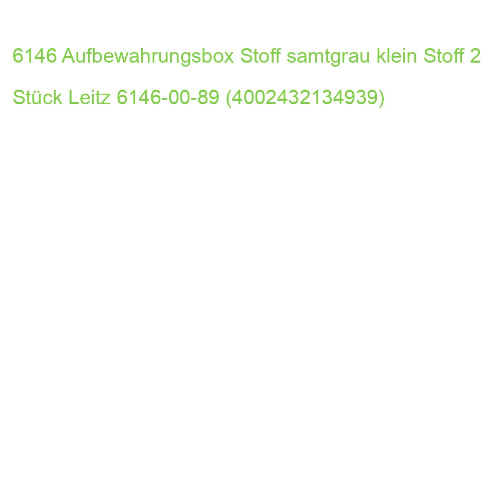 6146 Aufbewahrungsbox Stoff samtgrau klein Stoff 2 Stück Leitz 6146-00-89 (4002432134939)