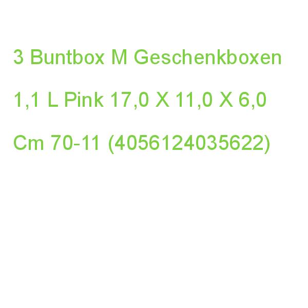 3 Buntbox M Geschenkboxen 1,1 L Pink 17,0 X 11,0 X 6,0 Cm 70-11 (4056124035622)