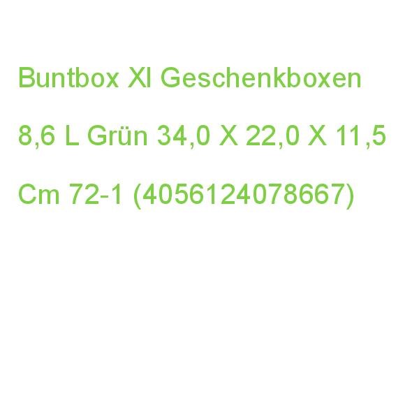 Buntbox Xl Geschenkboxen 8,6 L Grün 34,0 X 22,0 X 11,5 Cm 72-1 (4056124078667)