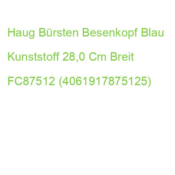Haug Bürsten Besenkopf Blau Kunststoff 28,0 Cm Breit FC87512 (4061917875125)