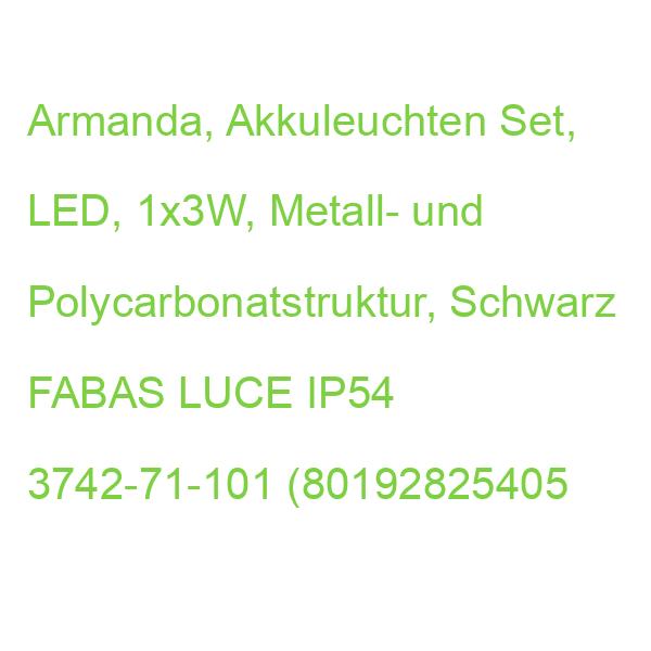 Akku Leuchte IP54 schwarz FABAS LUCE 3742-71-101 (8019282540564)