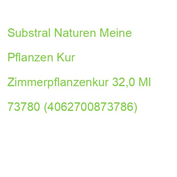 Substral Naturen Meine Pflanzen Kur Zimmerpflanzenkur 32,0 Ml 73780 (4062700873786)