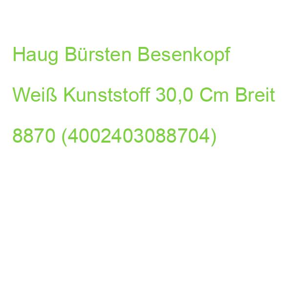 Haug Bürsten Besenkopf Weiß Kunststoff 30,0 Cm Breit 8870 (4002403088704)