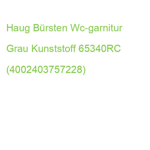 Haug Bürsten Wc-garnitur Grau Kunststoff 65340RC (4002403757228)