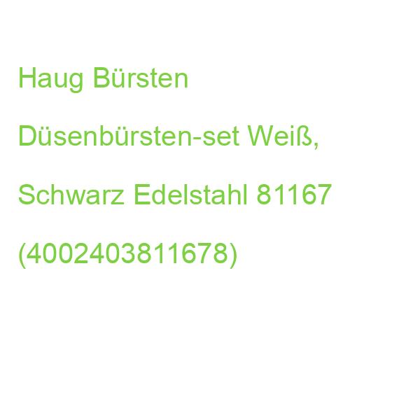 Haug Bürsten Düsenbürsten-set Weiß, Schwarz Edelstahl 81167 (4002403811678)