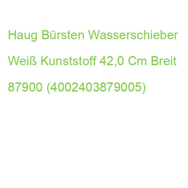 Haug Bürsten Wasserschieber Weiß Kunststoff 42,0 Cm Breit 87900 (4002403879005)