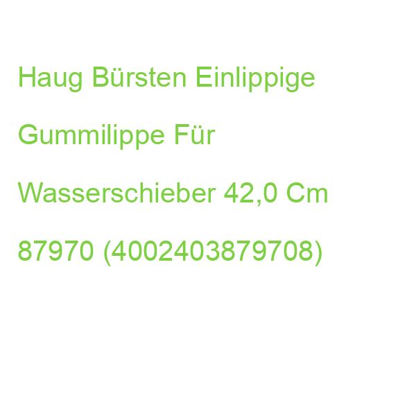 Haug Bürsten Einlippige Gummilippe Für Wasserschieber 42,0 Cm 87970 (4002403879708)