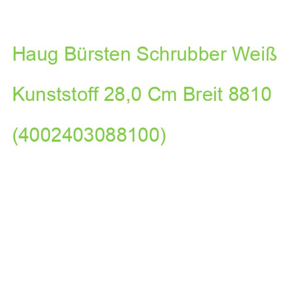 Haug Bürsten Schrubber Weiß Kunststoff 28,0 Cm Breit 8810 (4002403088100)
