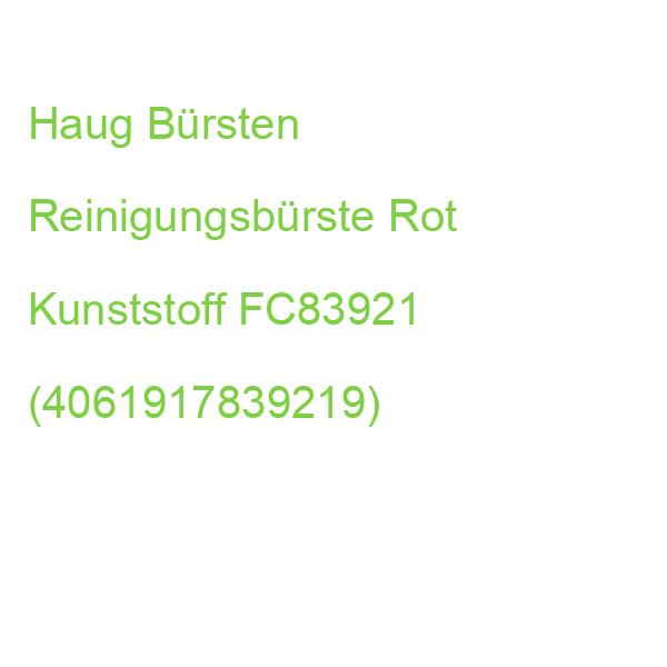 Haug Bürsten Fugenbürste Rot Kunststoff FC83921 (4061917839219)