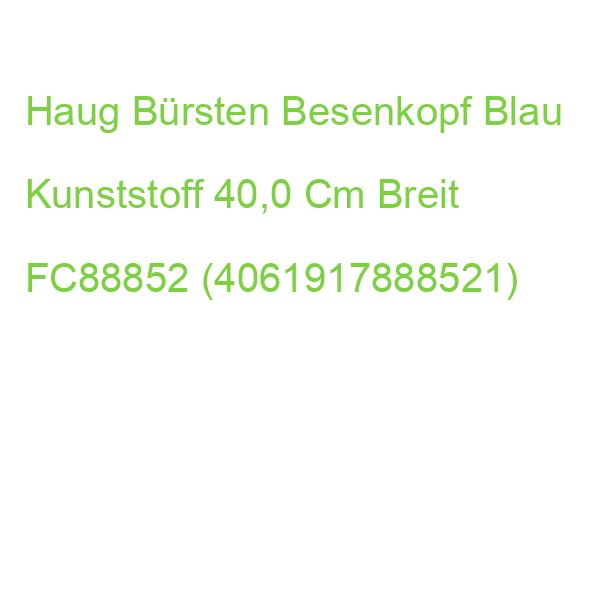 Haug Bürsten Besenkopf Blau Kunststoff 40,0 Cm Breit FC88852 (4061917888521)